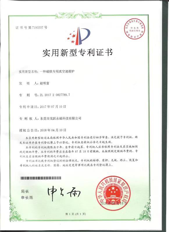 龙跃专利