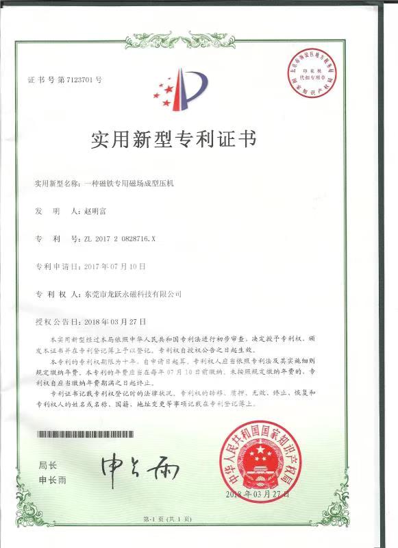 龙跃专利