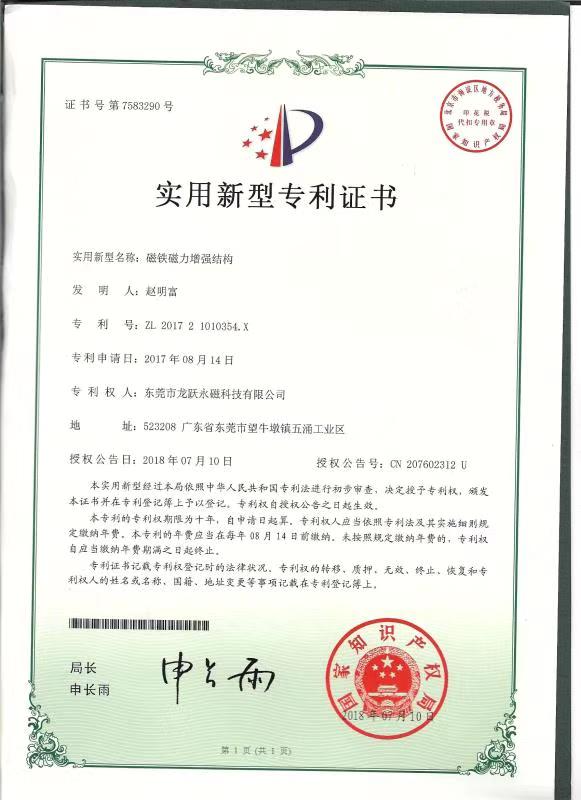 龙跃专利