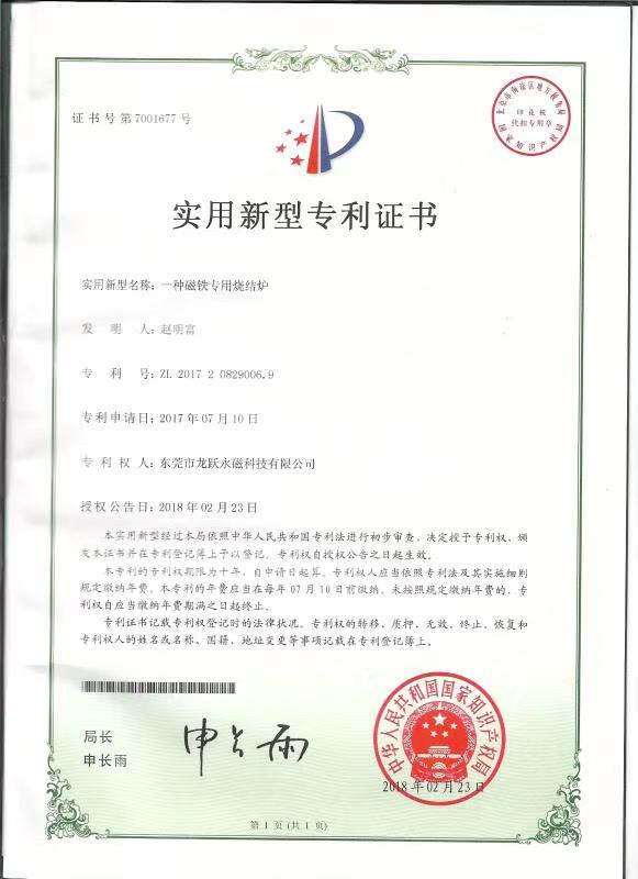 龙跃专利