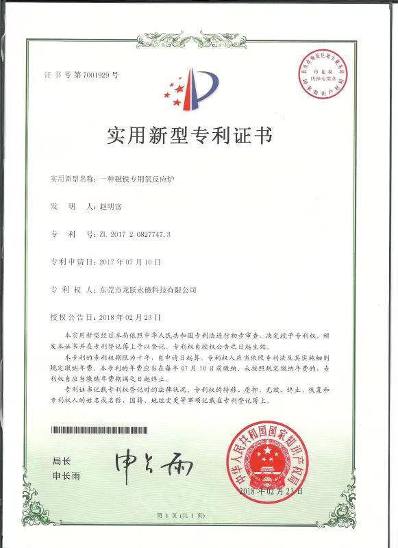 龙跃专利